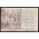 TIGRE 1904 RARA FOTO TARJETA POSTAL CIRCULADA